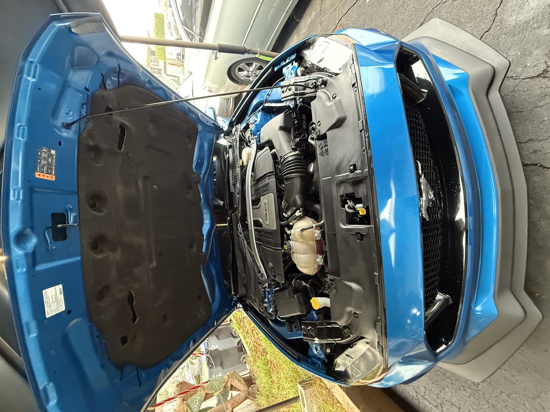 Engine & Cabin — OC 1st Class Auto Detailing