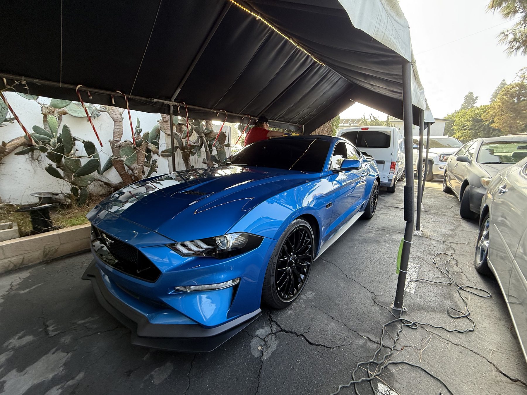 The Payoff — OC 1st Class Auto Detailing